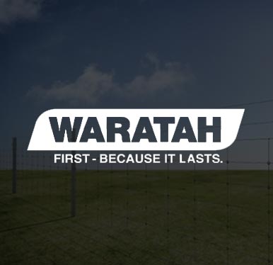 Waratah